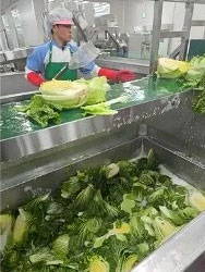 절임배추 작업 공정 3
