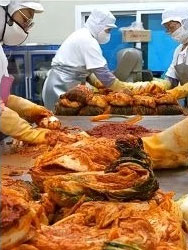 절임배추 작업 공정 6